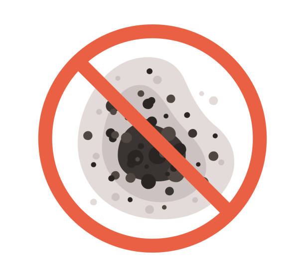Best Emergency Mold Remediation  in , WV